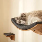 Modular Cat Wall Lounger Set for Climbing and Relaxation - Image 3