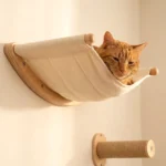 Cat Wall Hammock and Grip Step Climbing System - Image 4