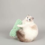 Interactive Catnip Plush Pillow - Image 6