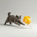 Interactive Dancing Octopus Toy - Image 6