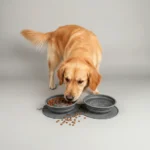 2-in-1 Collapsible Slow Feeder Travel Bowl - Image 6