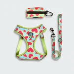 3-Piece Dog Harness & Leash Set - Image 2