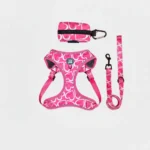 3-Piece Dog Harness & Leash Set - Image 3