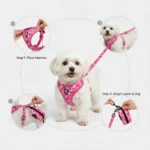 3-Piece Dog Harness & Leash Set - Image 6