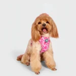 3-Piece Dog Harness & Leash Set - Image 7