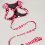 3-Piece Dog Harness & Leash Set - Image 8
