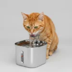 Circulating Pet Water Fountain - Image 3