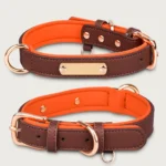Dual D-Ring PU Leather Dog Collar with Nameplate - Image 3