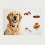 Dual D-Ring PU Leather Dog Collar with Nameplate - Image 10