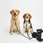 Dual Dog Leash with Anti-Tangle Rotation - Image 5