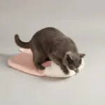 Plush Pocket Cat Sleeping Bag - Image 10